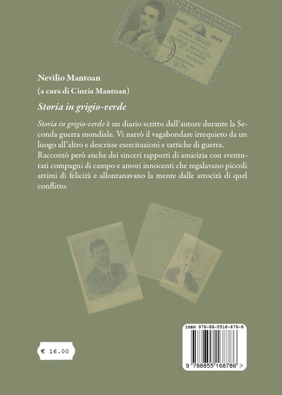 Quarta di copertina di Storia in grigio-verde